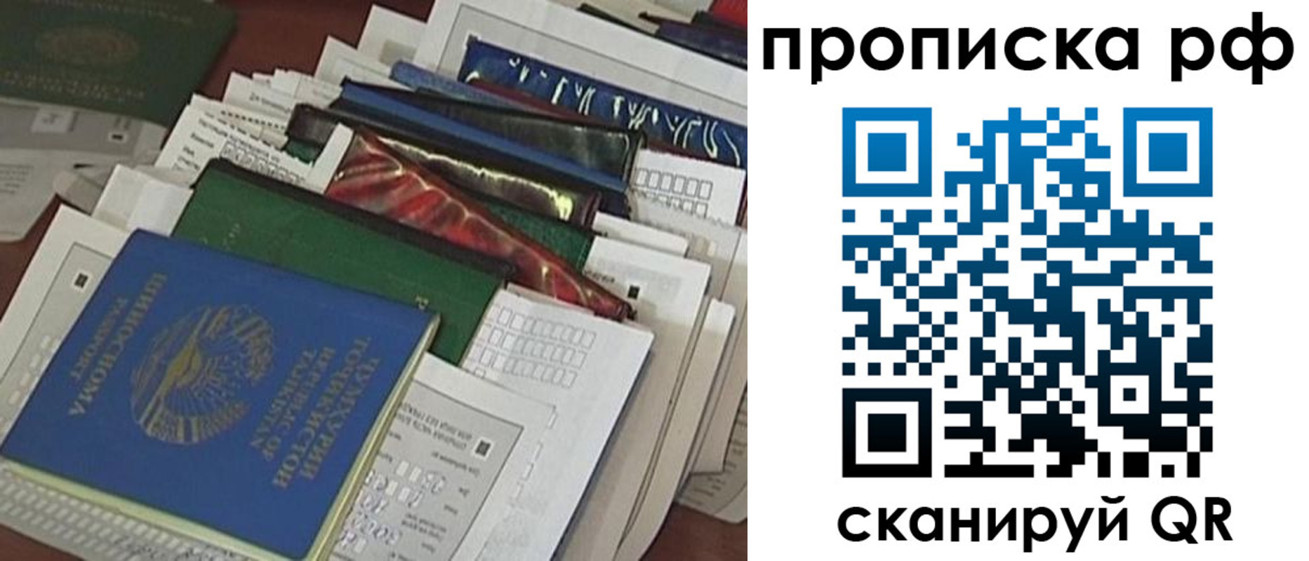 прописка в Борзе